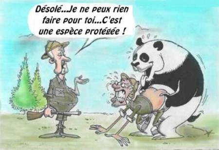 pk ne fo til pa devenir chansseur ...lol
